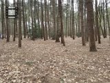 20160402 112425