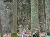 IMG 1542