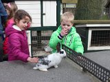 IMG 1587
